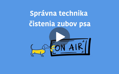 Správna technika čistenia zubov psa. Inštruktážne video